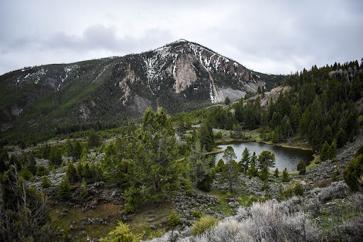 Yellowstone