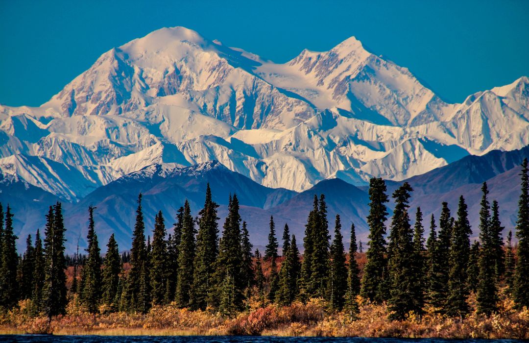 Denali National Park